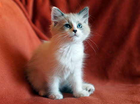 Meggie am 6. November 2021